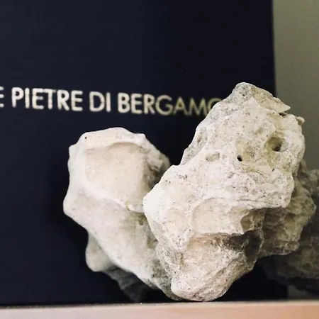 Location Strategica! -mirochi Apartment- *